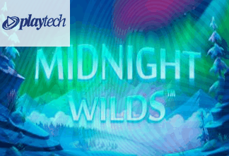 Midnight Wilds